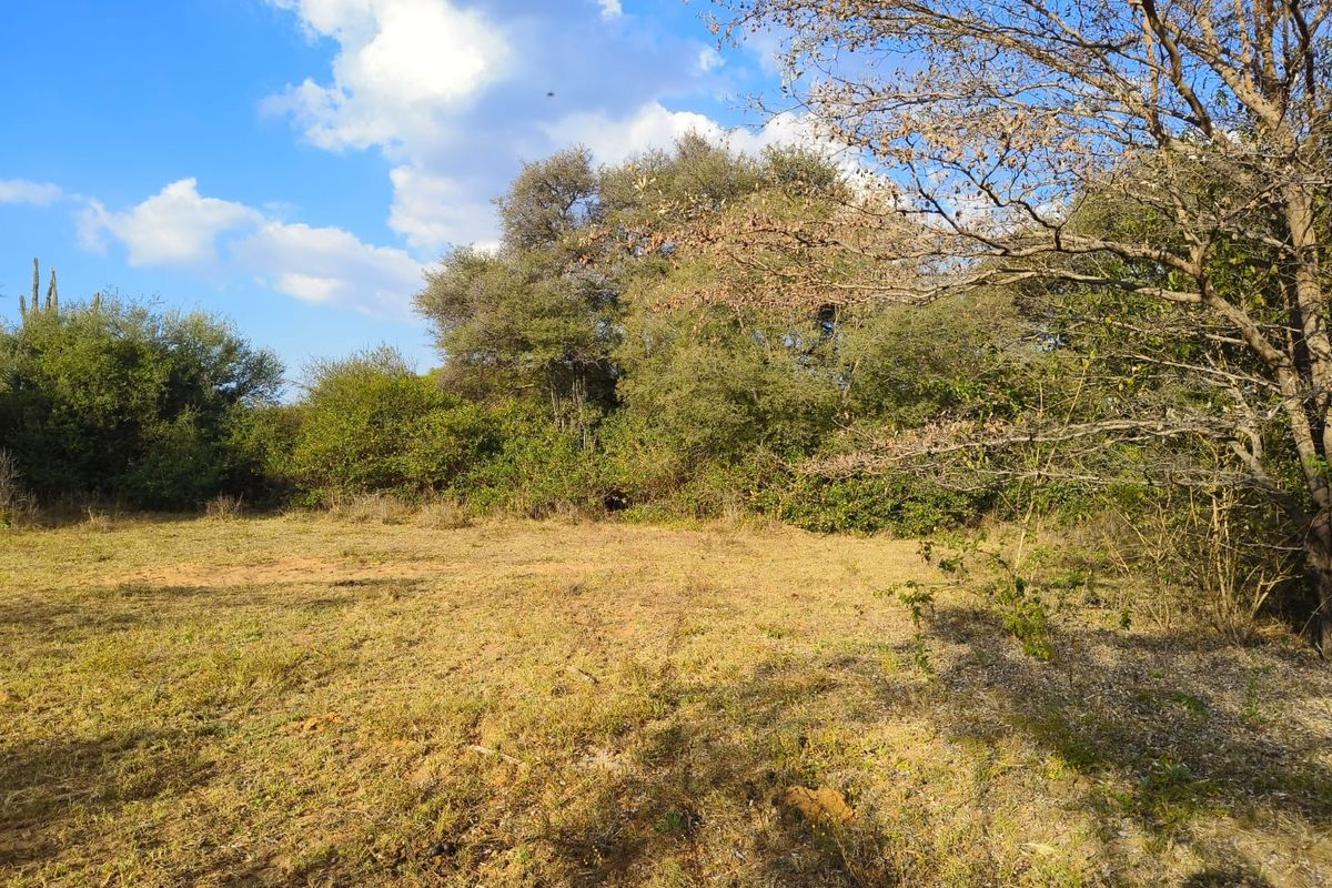 A view of a vacant residential plot featuring natural grass cover and mature trees, suitable for development.