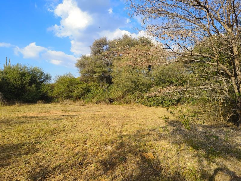 A view of a vacant residential plot featuring natural grass cover and mature trees, suitable for development.