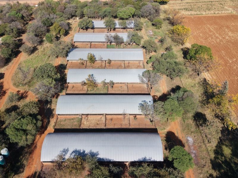 Aerial view of a farm property featuring multiple large livestock enclosures with corrugated metal roofing and surrounding agricultural land.