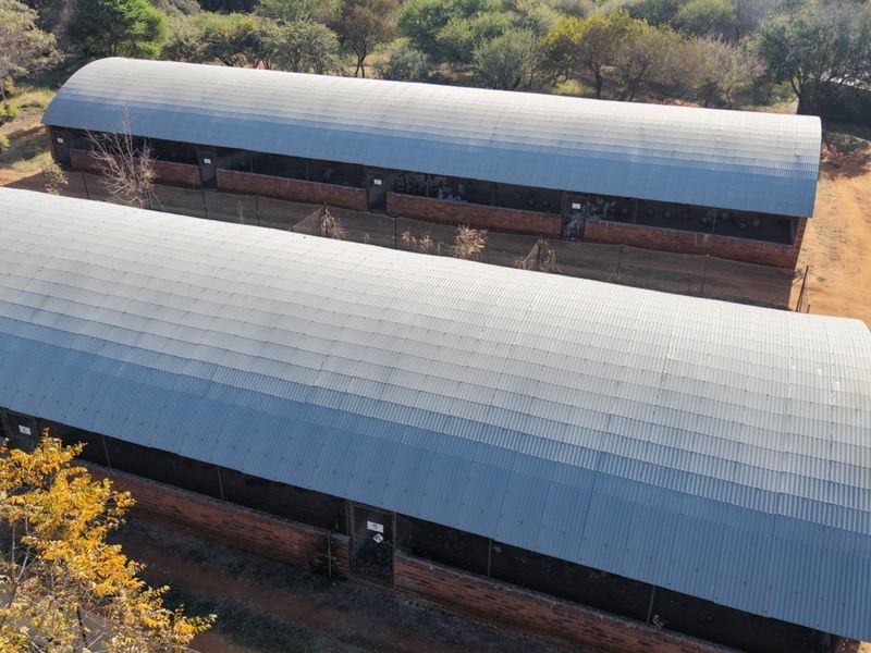 Aerial view of two long, parallel agricultural structures featuring corrugated metal roofs and brick masonry walls situated on a rural farm property.