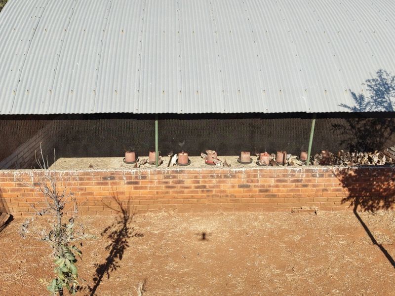 An outdoor utility structure featuring a brick base, wire mesh walls, and a corrugated metal roof, currently utilized as a poultry enclosure.