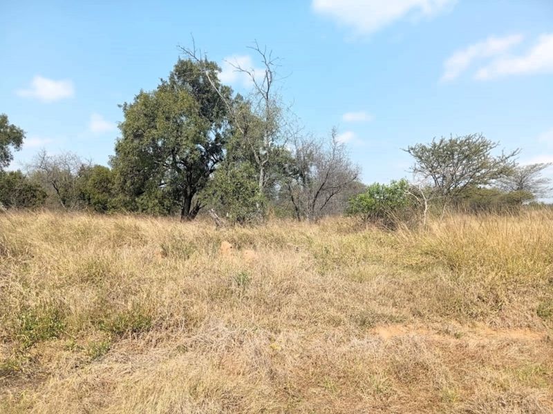 A view of the vacant residential land featuring natural grass and established trees.