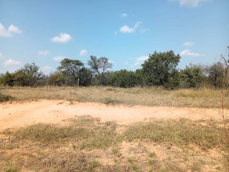A view of a vacant residential plot featuring natural sandy terrain and established native trees and shrubs.