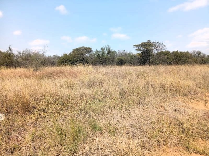 A view of a vacant residential plot featuring natural grassland and native trees, suitable for development.
