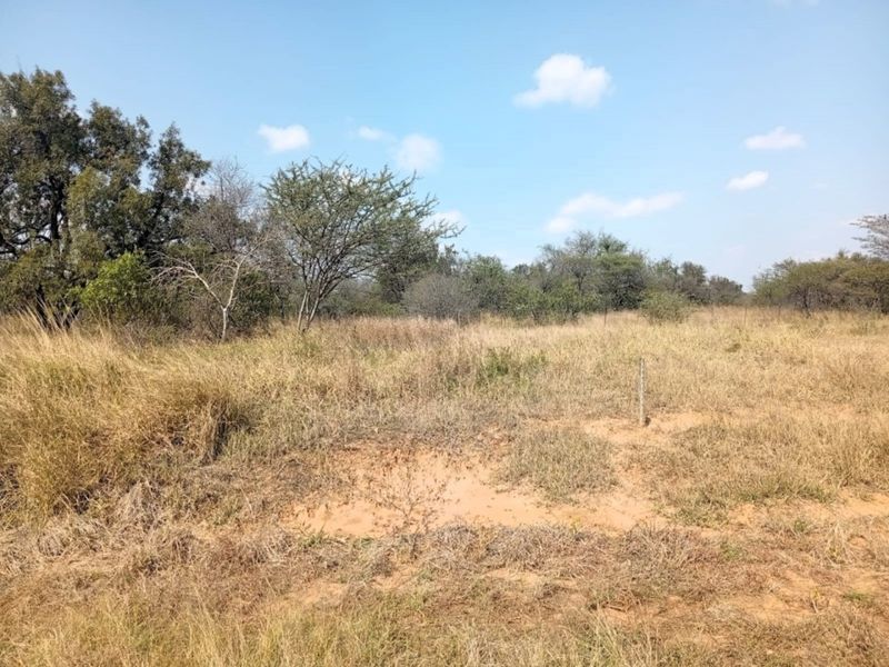 A view of the vacant residential land featuring natural vegetation and established trees.