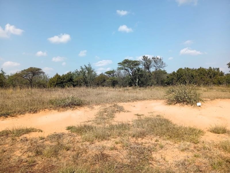 A view of a vacant residential plot featuring natural sandy terrain and native bushveld vegetation under a clear blue sky.