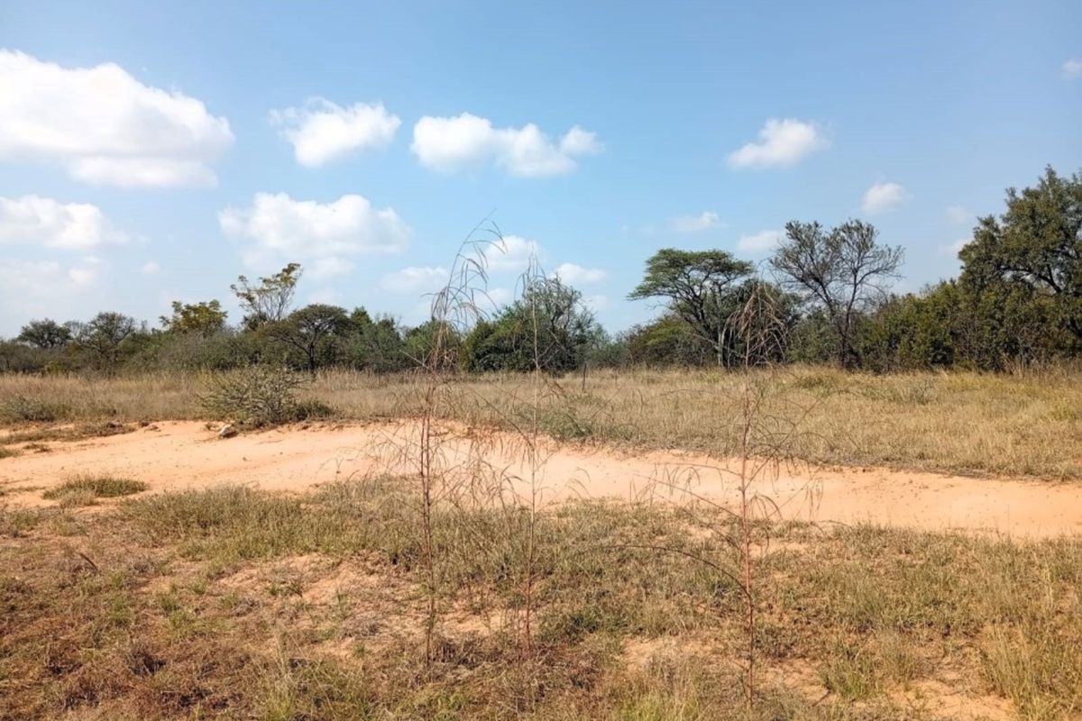 A view of the vacant residential land featuring natural vegetation and sandy terrain under a clear blue sky.