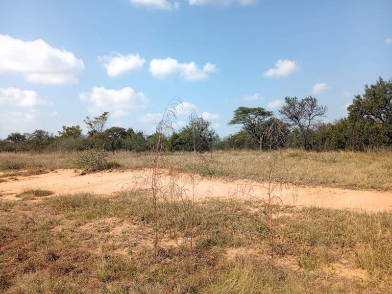 A view of the vacant residential land featuring natural vegetation and sandy terrain under a clear blue sky.