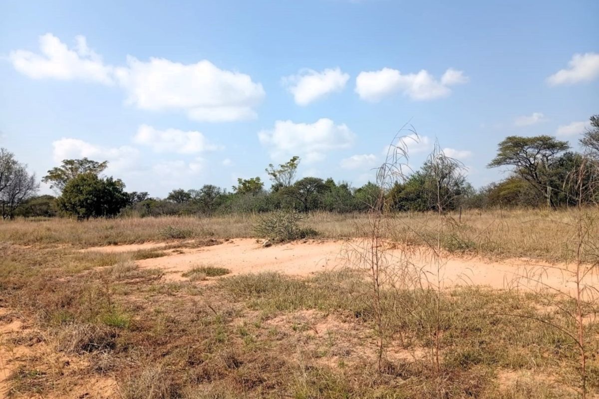 A view of a vacant residential plot featuring natural vegetation and sandy terrain under a clear blue sky.