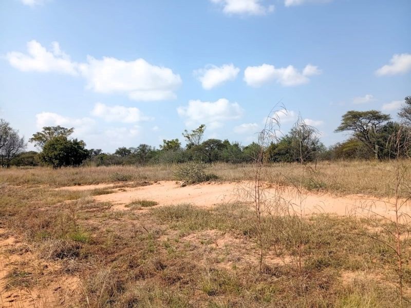 A view of a vacant residential plot featuring natural vegetation and sandy terrain under a clear blue sky.