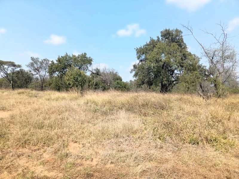 A view of a vacant residential plot featuring natural grass cover and mature indigenous trees.