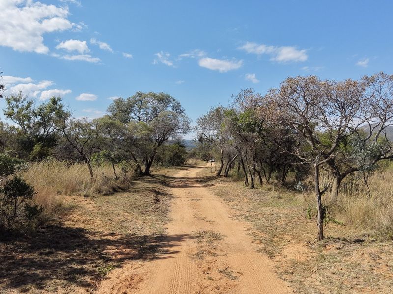 A scenic view of a dirt access road winding through natural bushveld and indigenous trees on the farm property.