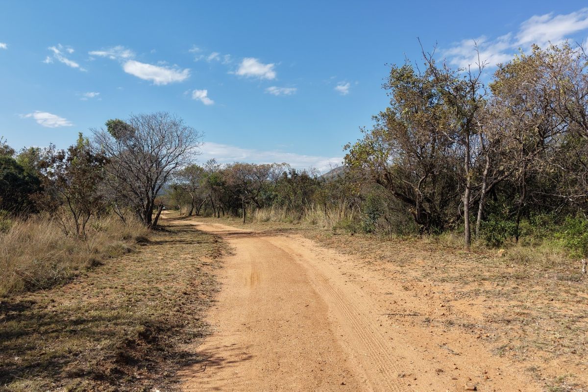 A view of a dirt access road winding through the natural bushveld landscape of the farm property.