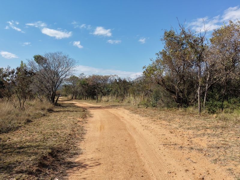 A view of a dirt access road winding through the natural bushveld landscape of the farm property.