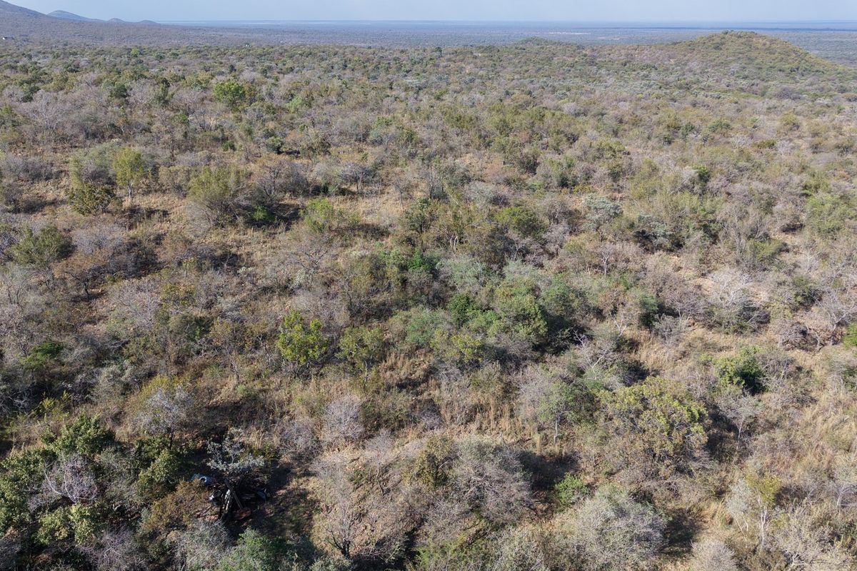 An expansive aerial view of the natural bushveld landscape, showcasing the vast, undeveloped terrain of the farm property.