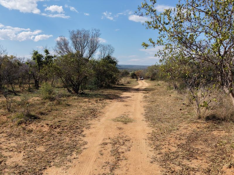 A scenic view of a dirt access road winding through natural bushveld and indigenous vegetation on the farm property.