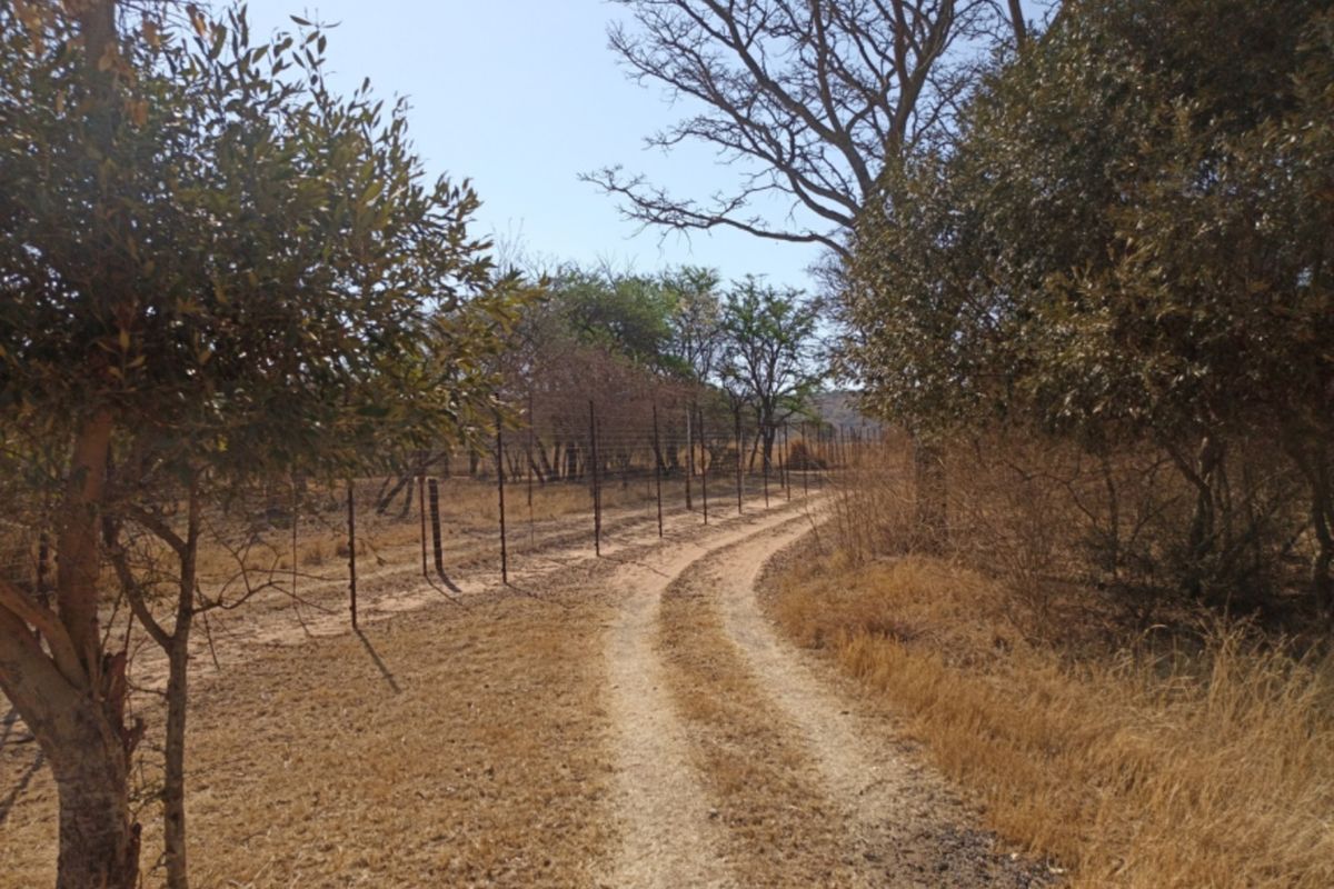 A dirt track leading through the small holding, bordered by mature trees and wire fencing, showcasing the natural landscape of the property.