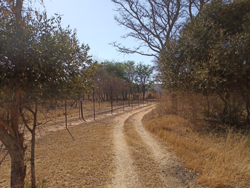 A dirt track leading through the small holding, bordered by mature trees and wire fencing, showcasing the natural landscape of the property.