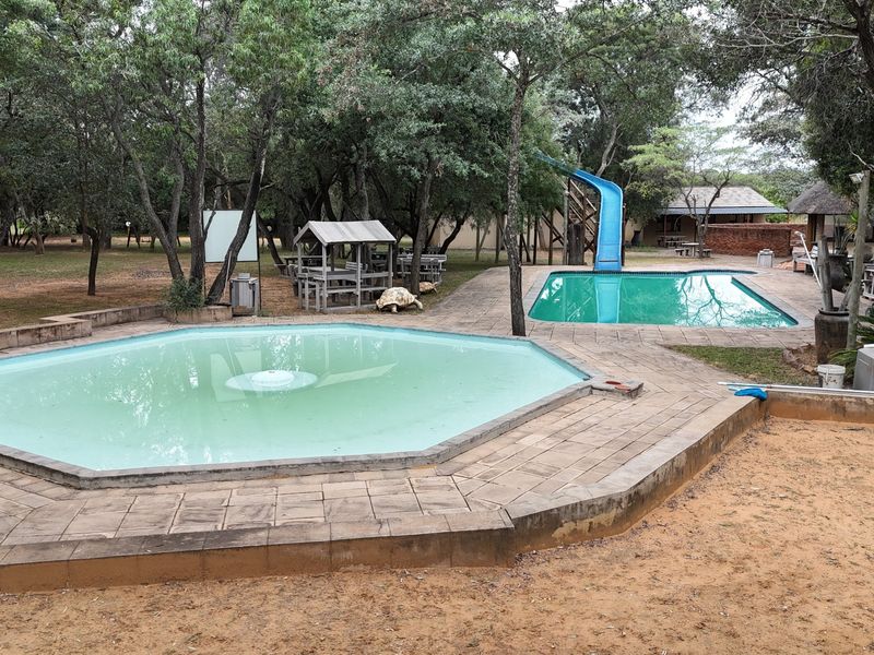 Outdoor entertainment area featuring two swimming pools, a slide, and paved decking set within a wooded garden environment.