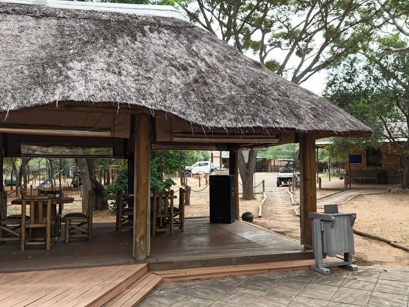 A covered outdoor patio area featuring a traditional thatched roof and timber decking, set within a natural, wooded small holding environment.