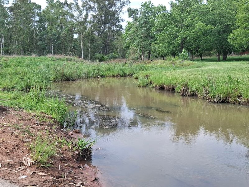 A scenic view of a natural stream flowing through the farm property, surrounded by lush green grass and mature trees.