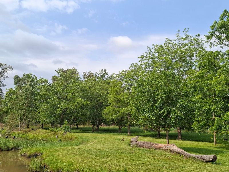 A scenic view of the farm property featuring a natural pond, lush green lawns, and mature trees under a clear sky.