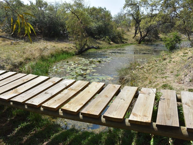 A rustic wooden footbridge crossing a natural stream within the farm landscape, surrounded by native trees and vegetation.