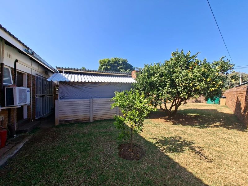 A rear garden view featuring a brick exterior, a corrugated metal roof structure, and a mature citrus tree in the yard.