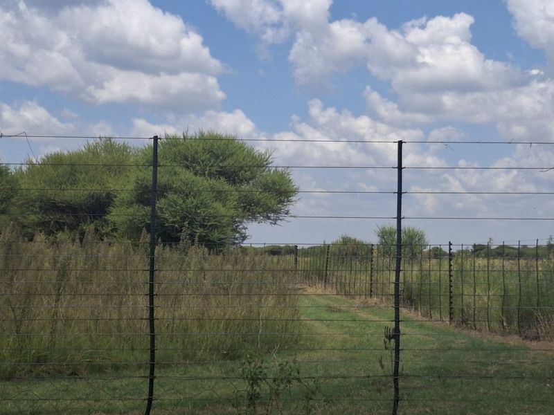 A view of the property grounds featuring established trees, natural vegetation, and secure perimeter electric fencing.