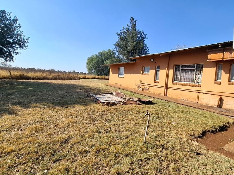 Rear view of the property showing the exterior brick wall, corrugated roof, and surrounding garden area with visible maintenance requirements.