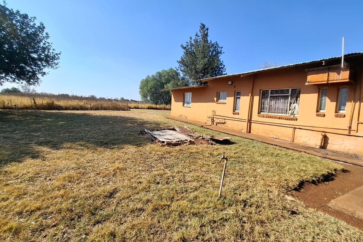 Rear view of the property showing the exterior brick wall, corrugated roof, and surrounding garden area with visible maintenance requirements.