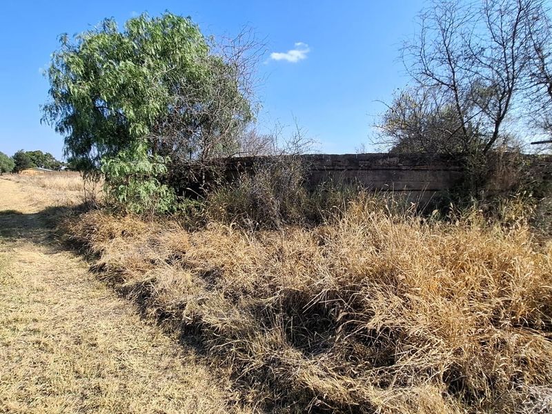 An expansive, undeveloped outdoor area featuring dry grass, mature trees, and a perimeter boundary wall on the small holding property.