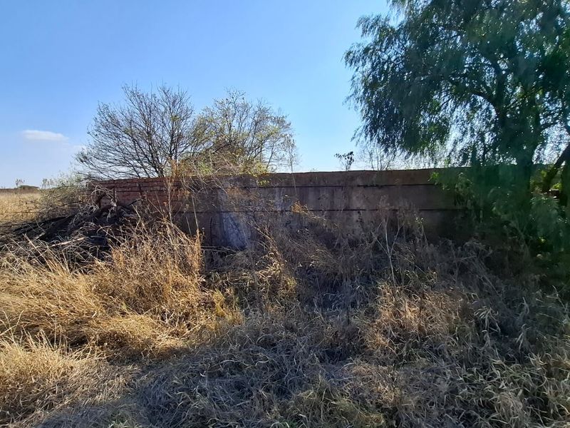 An overgrown garden area featuring a weathered boundary wall and dense, unmaintained vegetation on the property grounds.