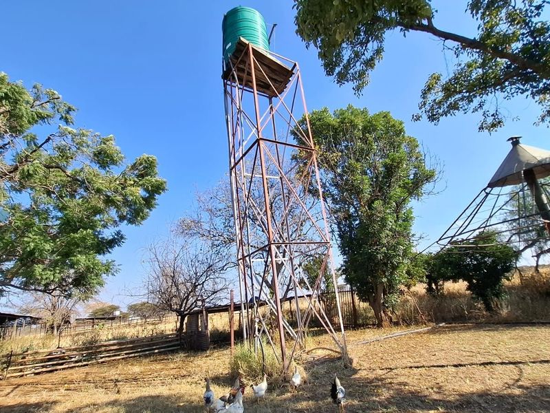 Outdoor area featuring an elevated water storage tank on a metal support tower and a rotary clothesline in a rural garden setting.