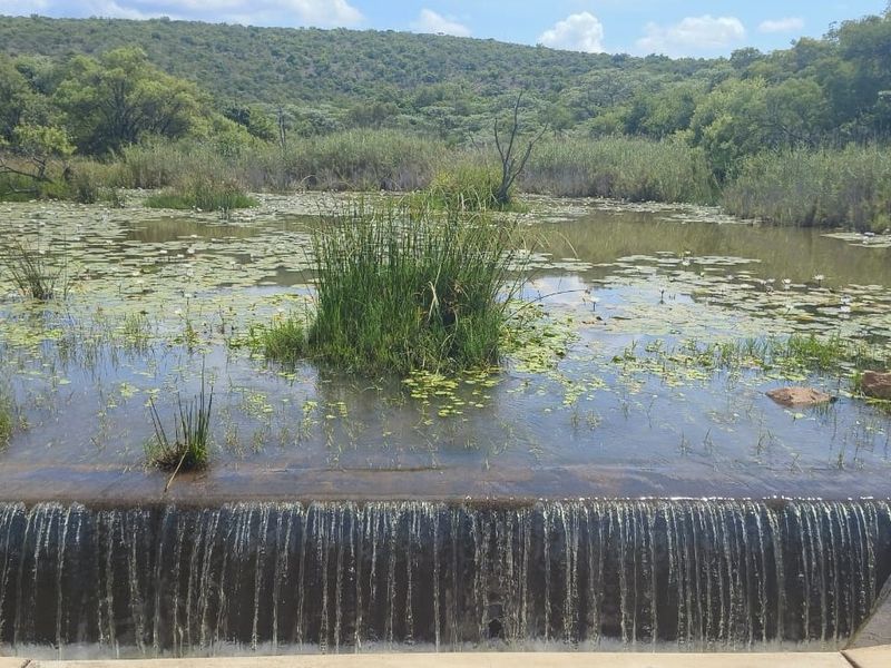 A scenic view of a natural pond featuring a concrete spillway and lush wetland vegetation set against a hilly landscape.