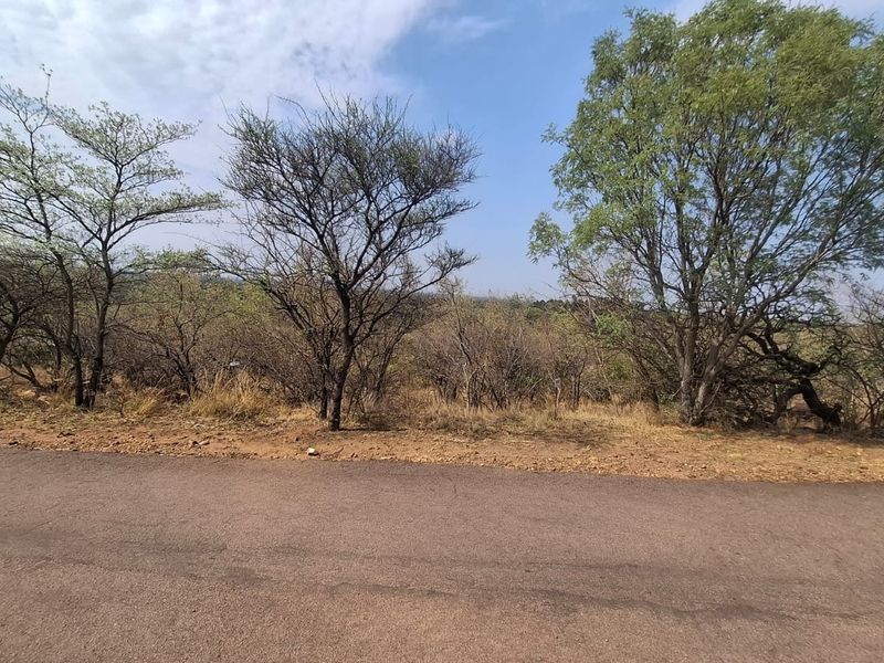 A view of the street frontage showing the undeveloped residential land with mature trees and direct road access.