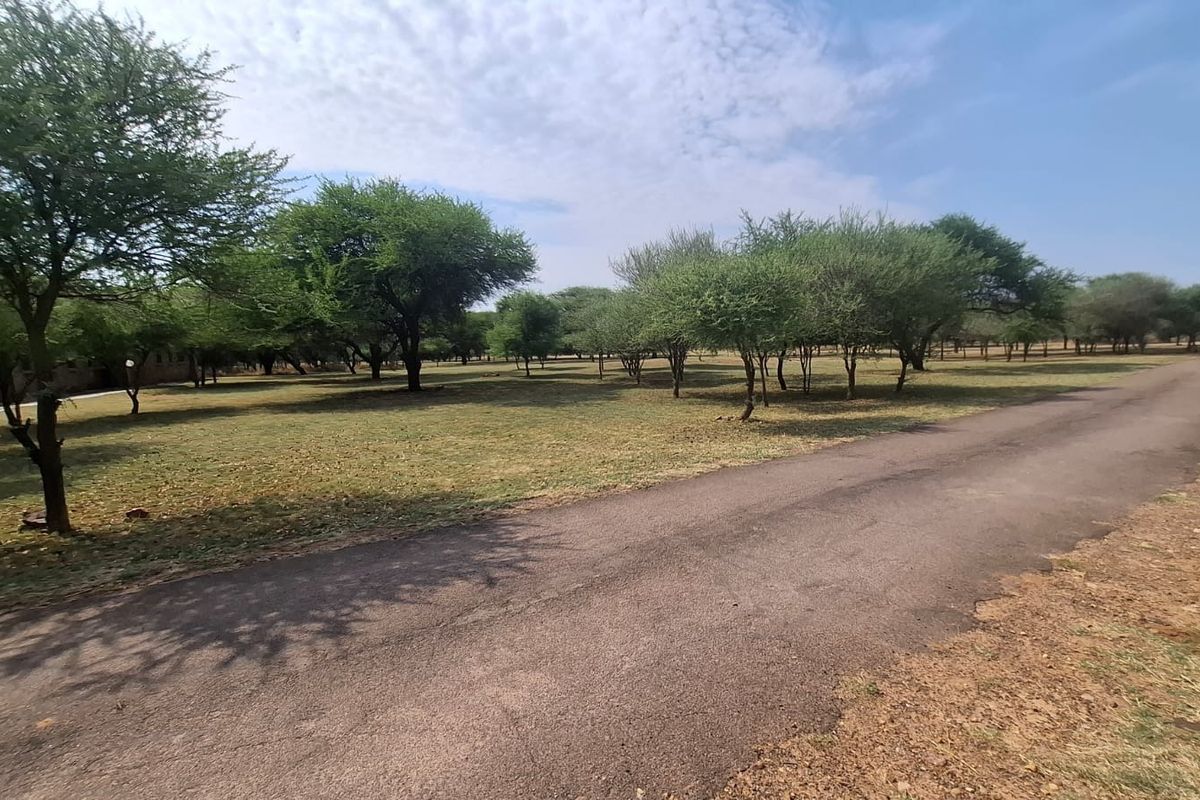 A spacious vacant residential plot featuring a paved driveway and established mature trees, offering a natural and open landscape setting.