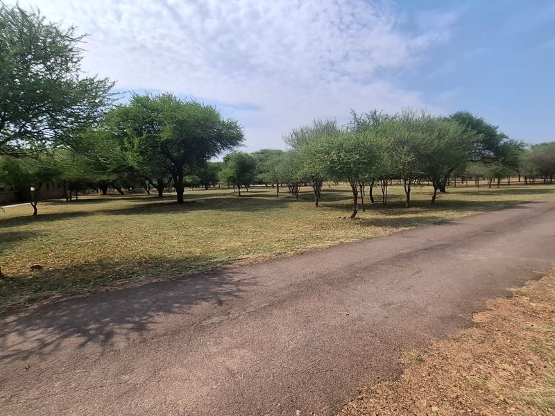 A spacious vacant residential plot featuring a paved driveway and established mature trees, offering a natural and open landscape setting.