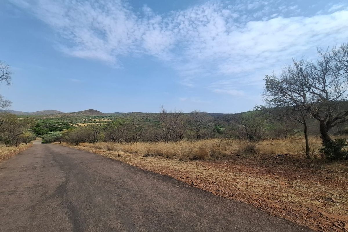 A view of a paved road leading through a natural, undeveloped residential landscape with native trees and shrubs.