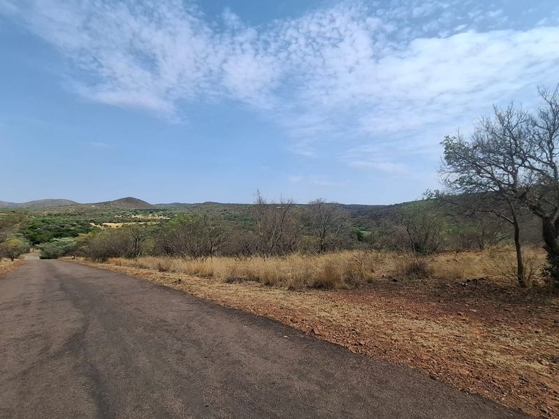 A view of a paved road leading through a natural, undeveloped residential landscape with native trees and shrubs.