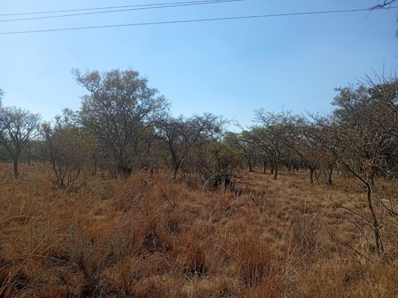 A view of the vacant residential land featuring natural indigenous trees and dry grass vegetation.