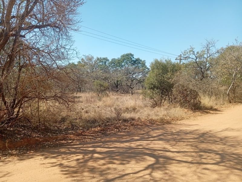 A view of a vacant residential plot featuring natural vegetation, indigenous trees, and direct access from a dirt road with overhead power lines.