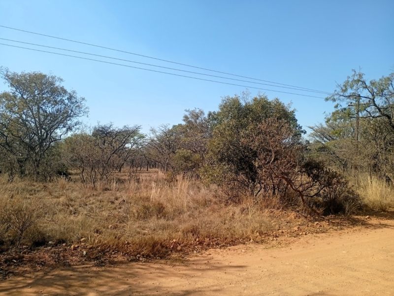 A view of the vacant residential land from the adjacent dirt road, featuring natural vegetation and overhead power lines.