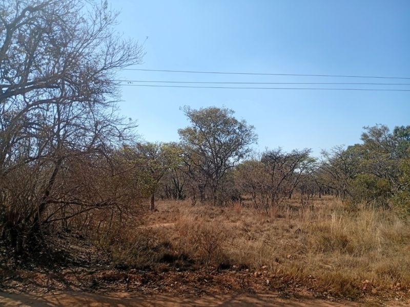 A view of the vacant residential land featuring natural indigenous trees and dry grass, suitable for development.