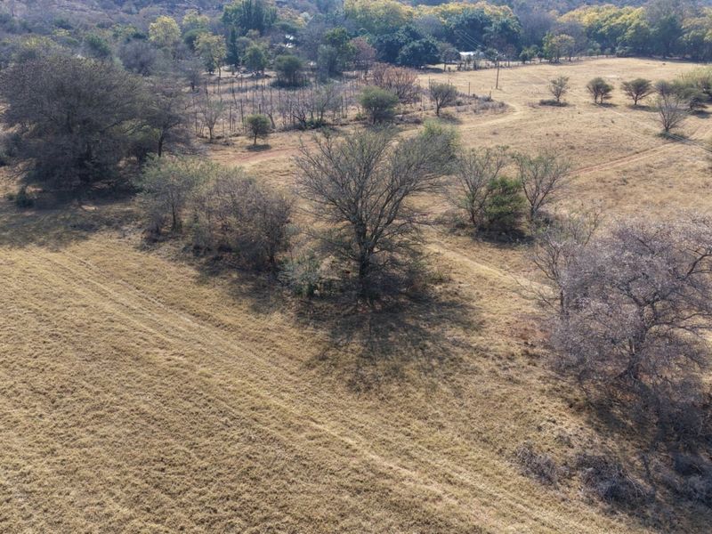 An aerial view of the expansive farm property featuring open grazing land, mature trees, and existing power line infrastructure.
