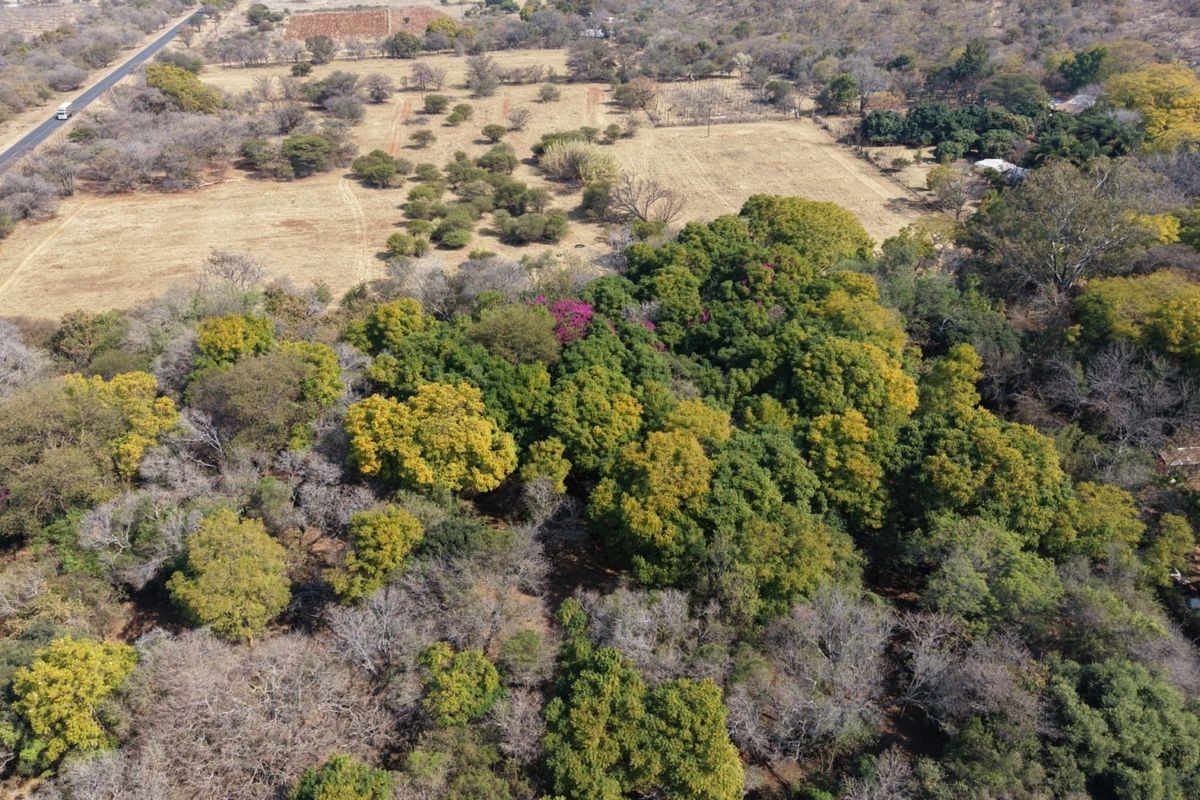 An aerial view of the farm property showcasing extensive natural vegetation, mature trees, and surrounding rural landscape.