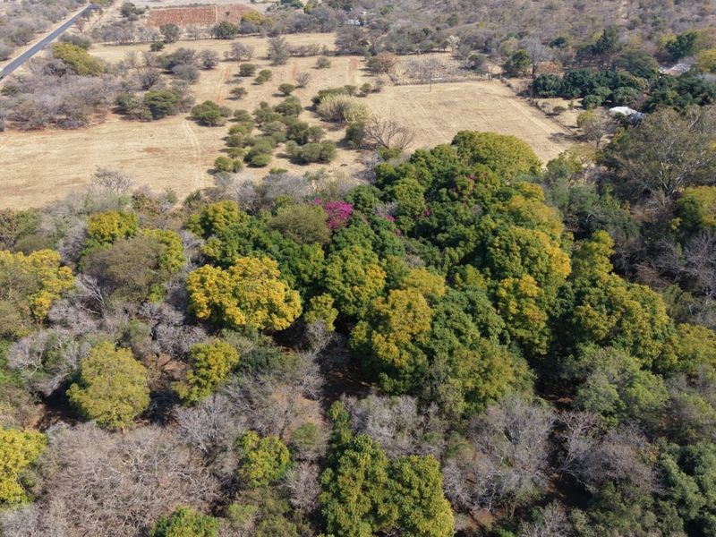 An aerial view of the farm property showcasing extensive natural vegetation, mature trees, and surrounding rural landscape.