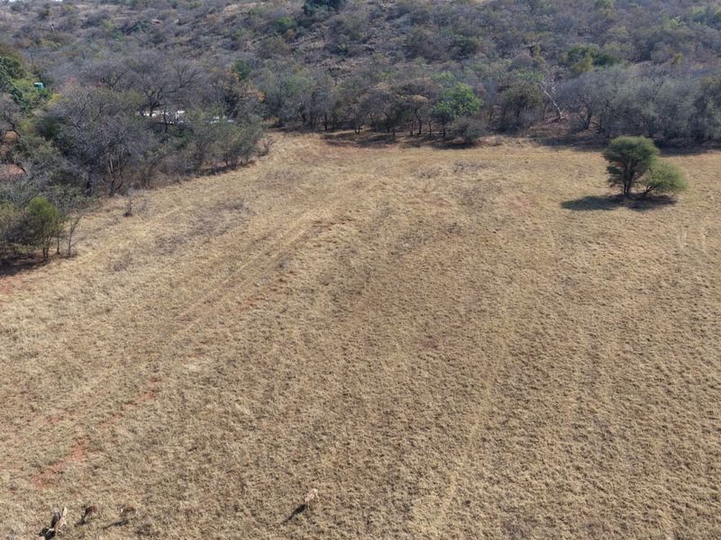 An aerial view of a large, open grassland area on the farm, featuring natural vegetation and scattered indigenous trees.
