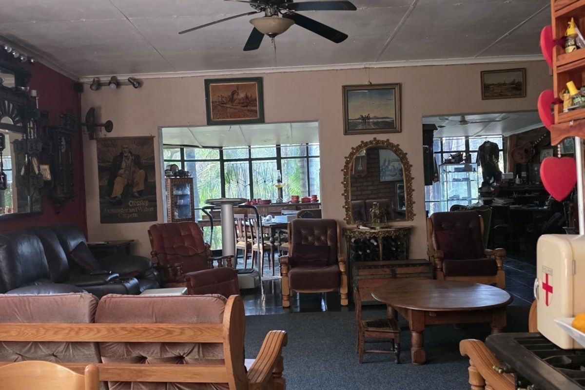Spacious living area featuring a ceiling fan, large windows, and access to an adjoining sunroom, offering a traditional layout with potential for modernization.