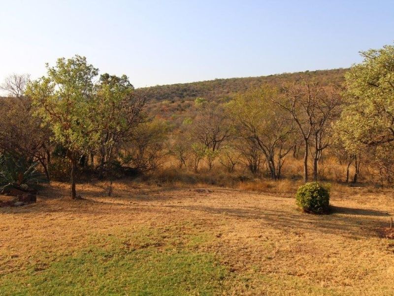 A scenic view of the natural landscape featuring indigenous trees and dry grassland, showcasing the property's tranquil outdoor surroundings.